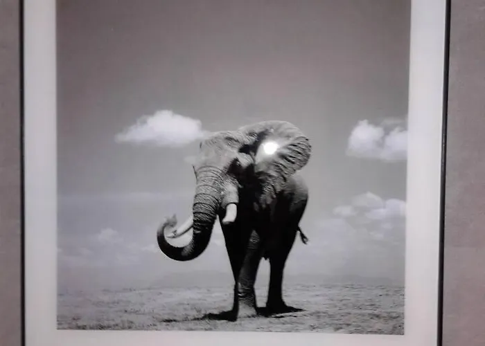 شقة Insolite 20 *